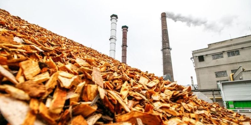 analisis-de-las-ventajas-y-desventajas-de-la-energia-biomasa-una-opcion-sustentable