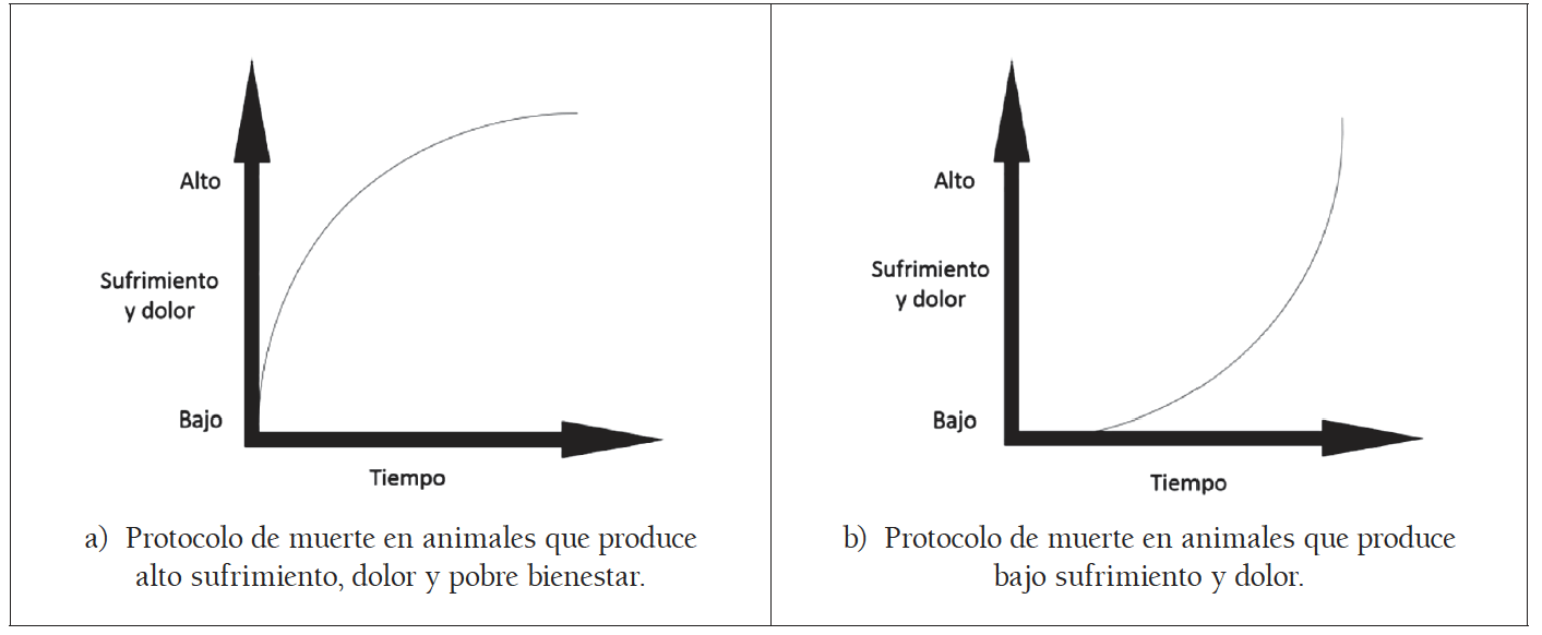 analisis-de-las-ventajas-y-desventajas-de-la-eutanasia-un-dilema-etico-o-un-derecho-a-elegir