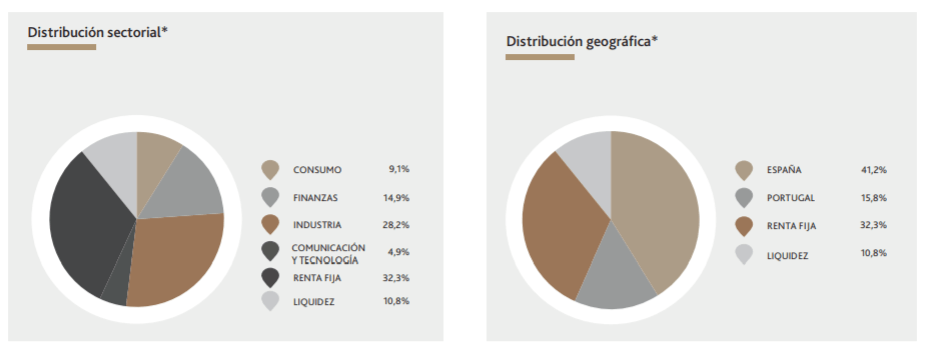 analisis-de-las-ventajas-y-desventajas-de-la-renta-mixta-cual-es-la-mejor-opcion-para-ti