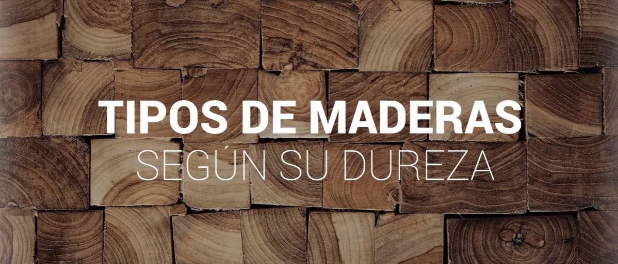 madera-analisis-de-las-ventajas-y-desventajas-en-su-uso