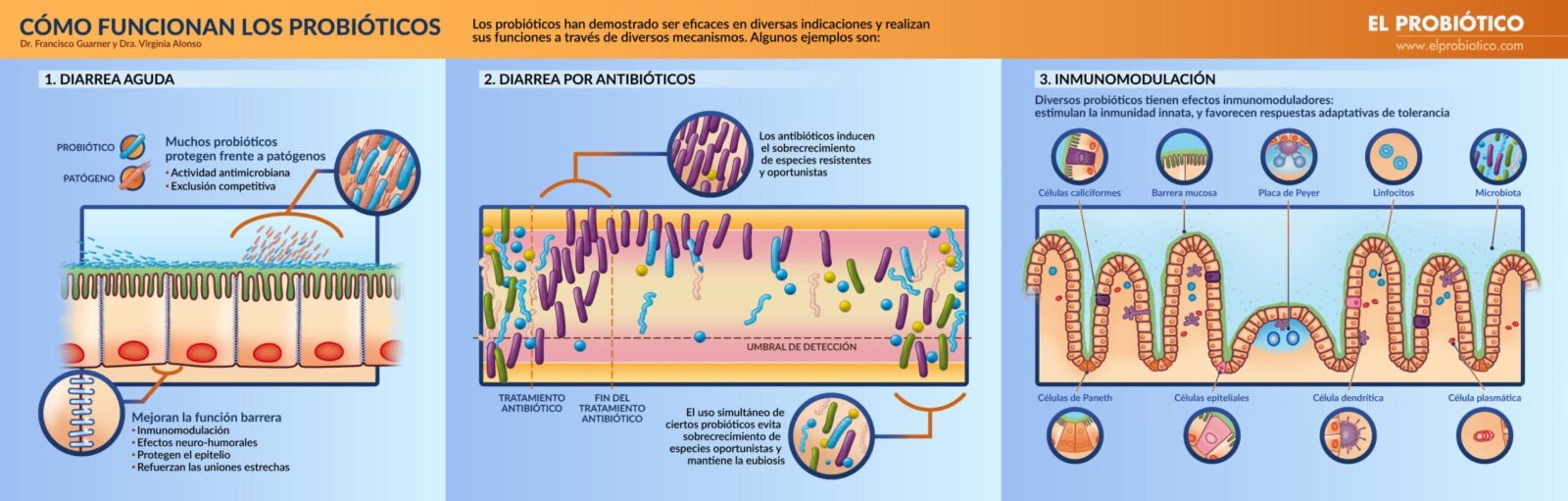 probioticos-un-analisis-completo-de-sus-ventajas-y-desventajas
