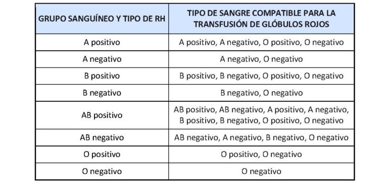 Sangre B Positivo: Análisis De Las Ventajas Y Desventajas En Español ...